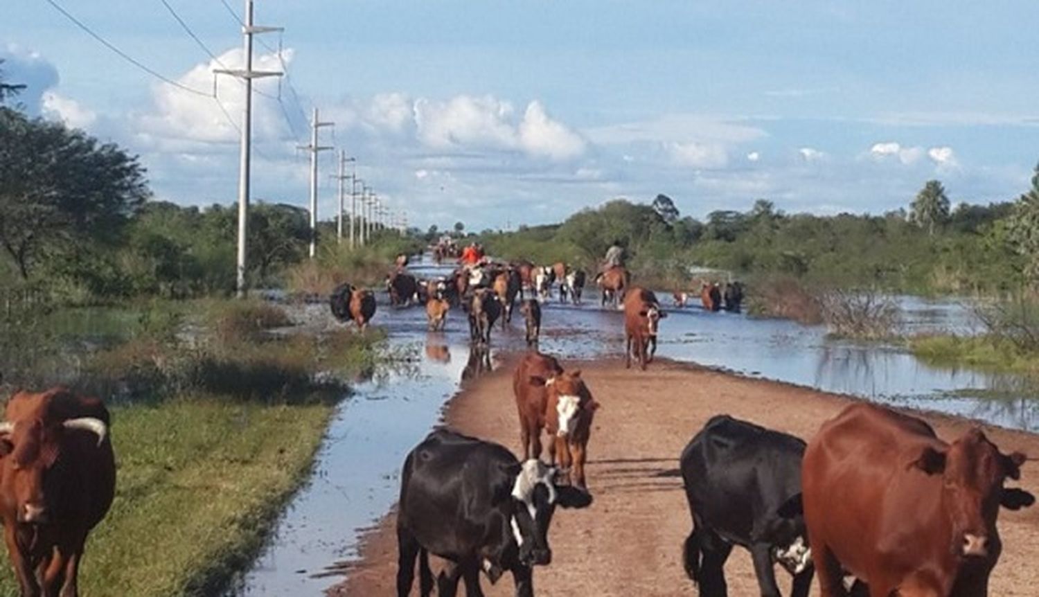 Presentaron un proyecto para crear la Comisión de Emergencia Agropecuario