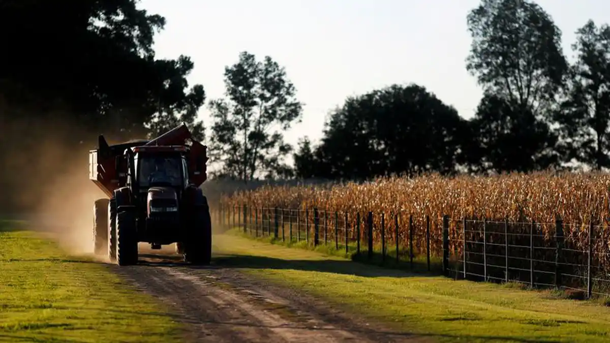 El campo mantendrá el paro pese a la reapertura de las exportaciones de maíz