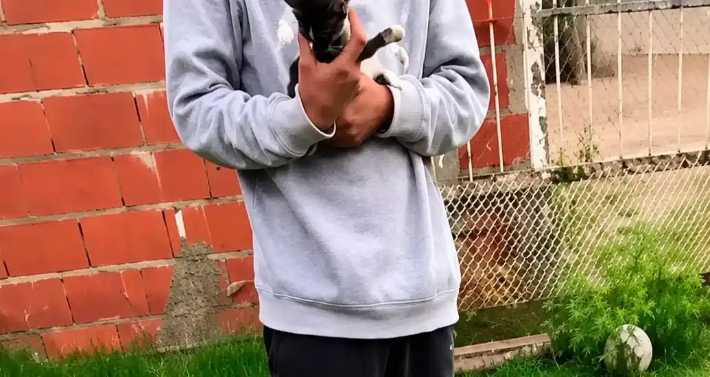 Un adolescente de 14 años ejerciendo violencia extrema contra un gato.