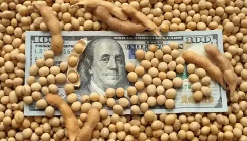 El ingreso de divisas del sector agroindustrial en 2026 alcanzaría una cifra total de US$36.111 millones