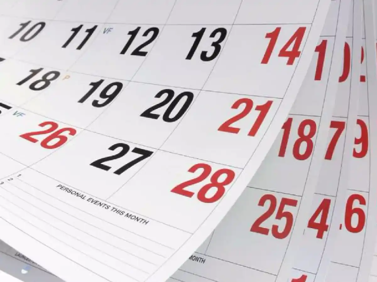 Feriados de junio: cuáles son inamovibles y qué días caen
