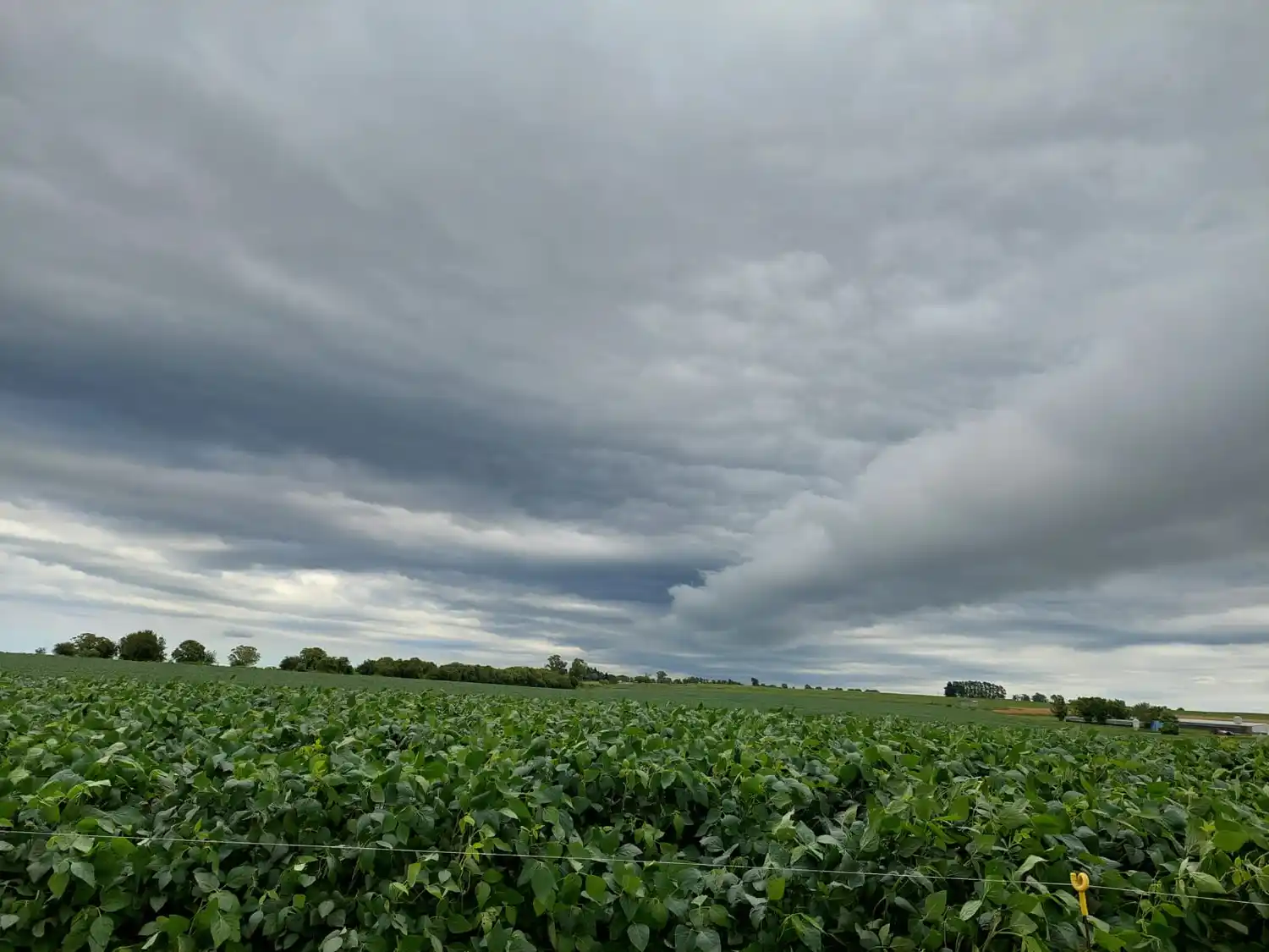 En nuestra región se esperan días con inestabilidad y altas temperaturas