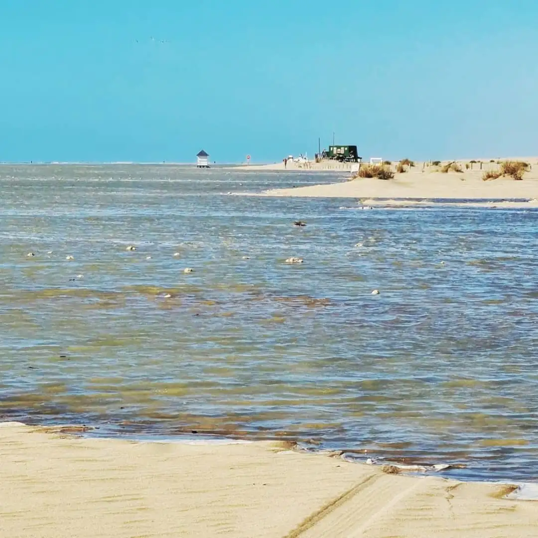 La Reserva Natural Faro Querandí en Villa Gesell ofrece un refugio de
dunas, fauna autóctona y tranquilidad