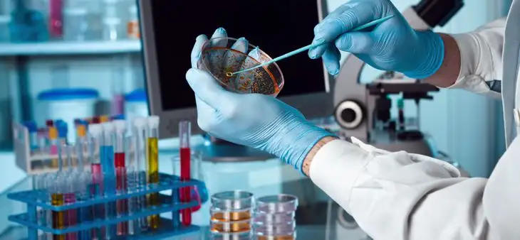 La AFIP pone en práctica beneficios impositivos de la ley de biotecnología