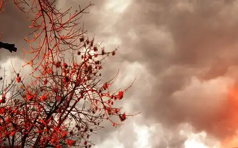 Alerta meteorológica: lluvias y tormentas en Gualeguaychú