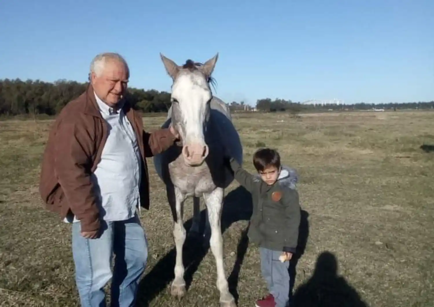 "Si gano alguno de esos premios me gustaría dárselo a mi abuelo", escribió Sofía.