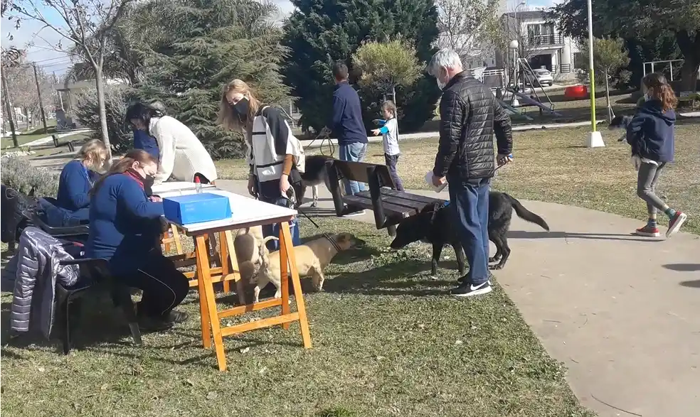 Culminó la campaña de vacunación antirrábica con 1.300 dosis aplicadas