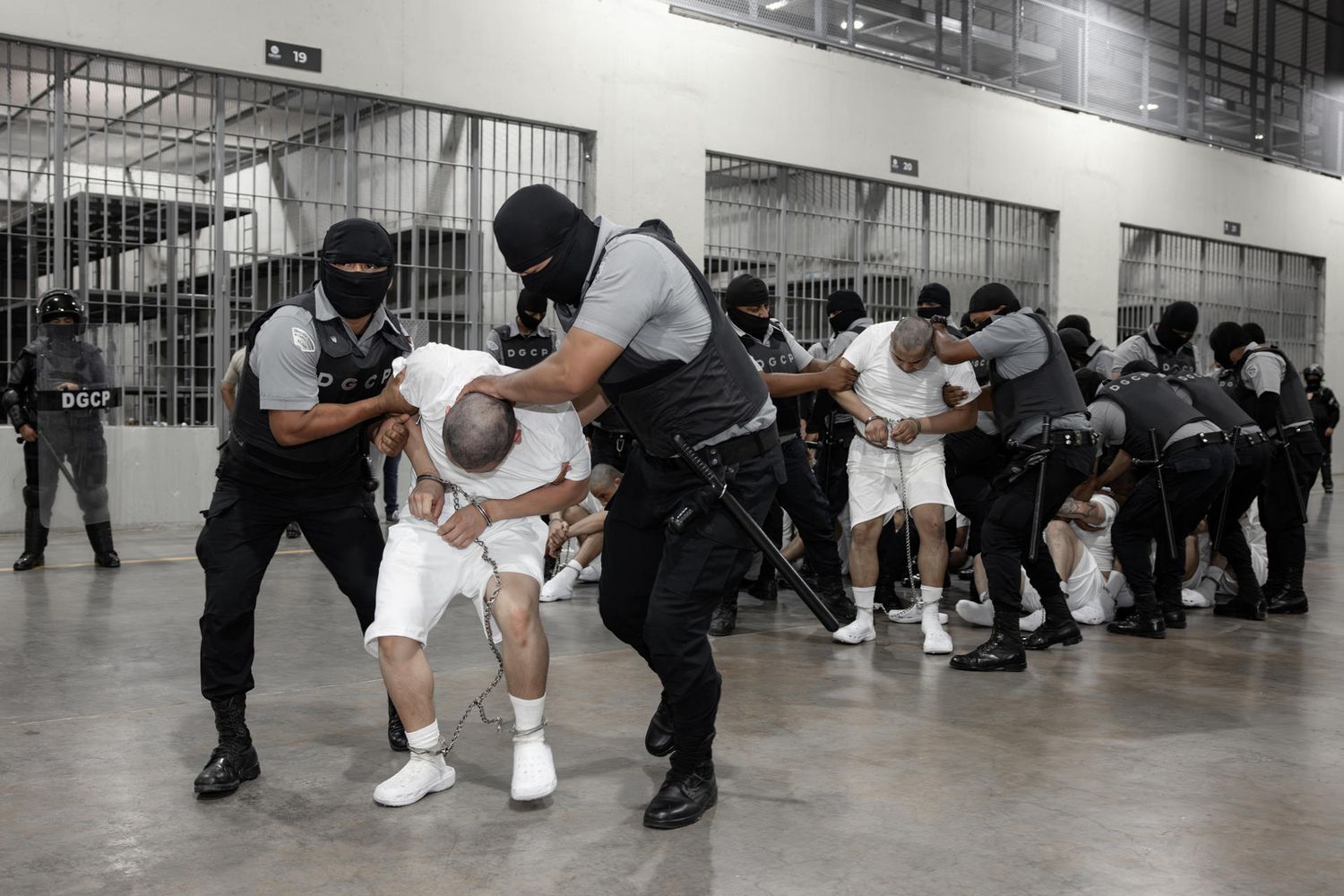 DATAVIVA: 87% de los venezolanos rechaza deportaciones de migrantes a El Salvador (+Encuesta)