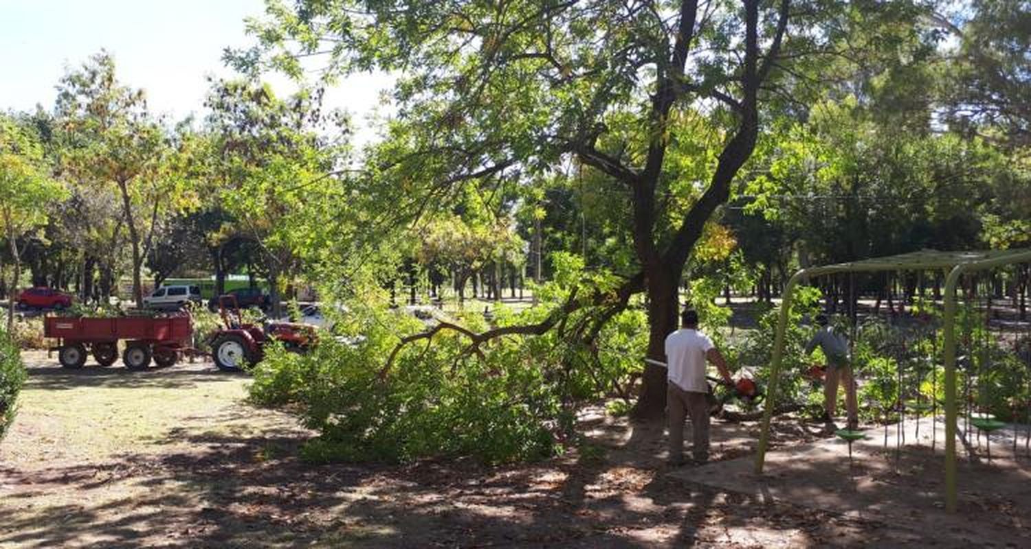 Llegaron los 7 millones de pesos para la renovación de plazas y en los próximos días llamarán a licitación