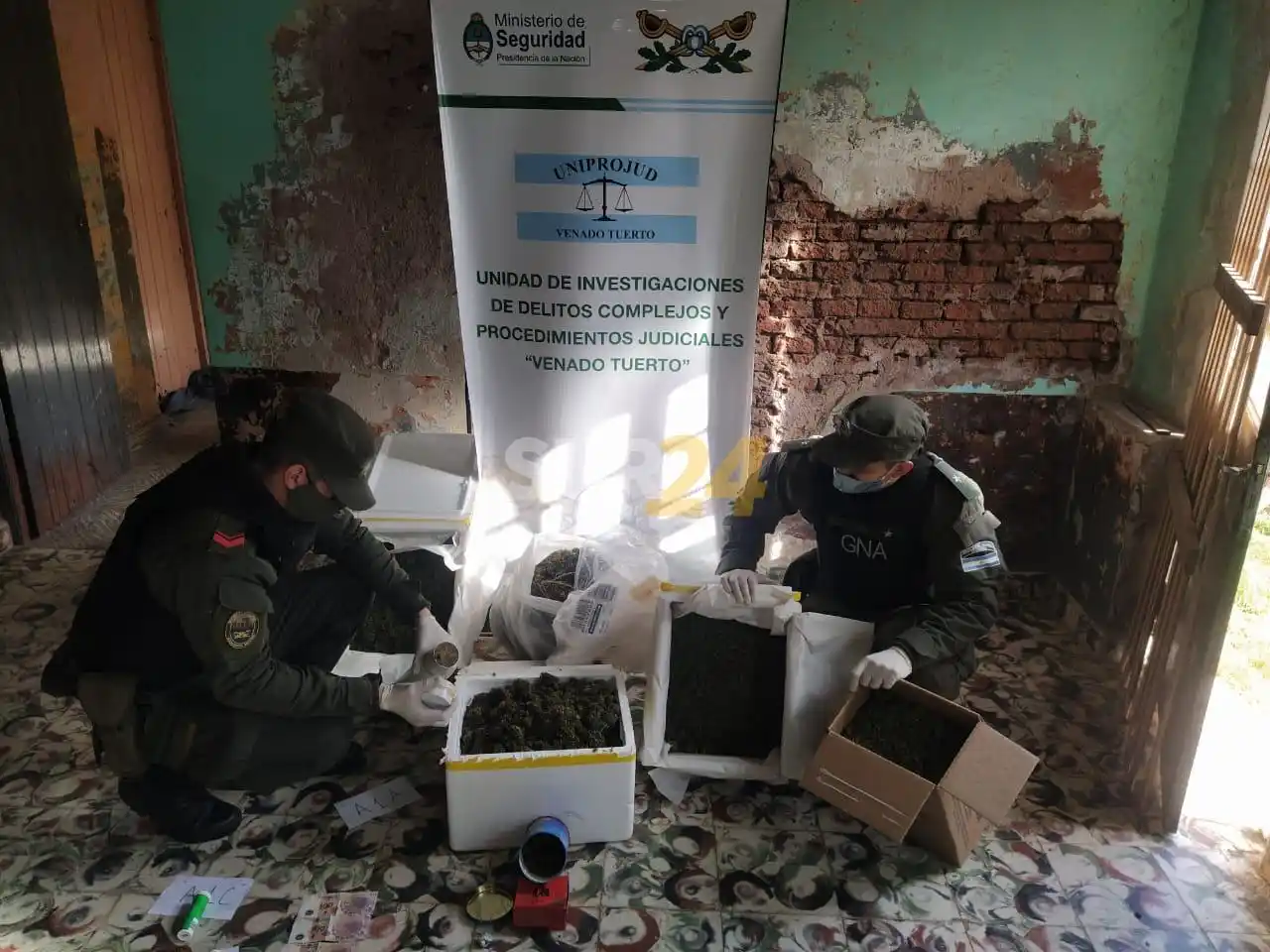 Maggiolo: allanan campo y secuestran gran cantidad de marihuana