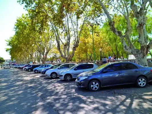Trabajan en una ordenanza para regular el estacionamiento en la Costanera 