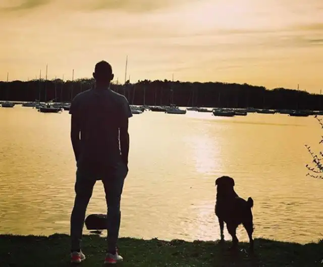 Nala, la mascota de Emiliano Sala, aún lo espera en Francia
