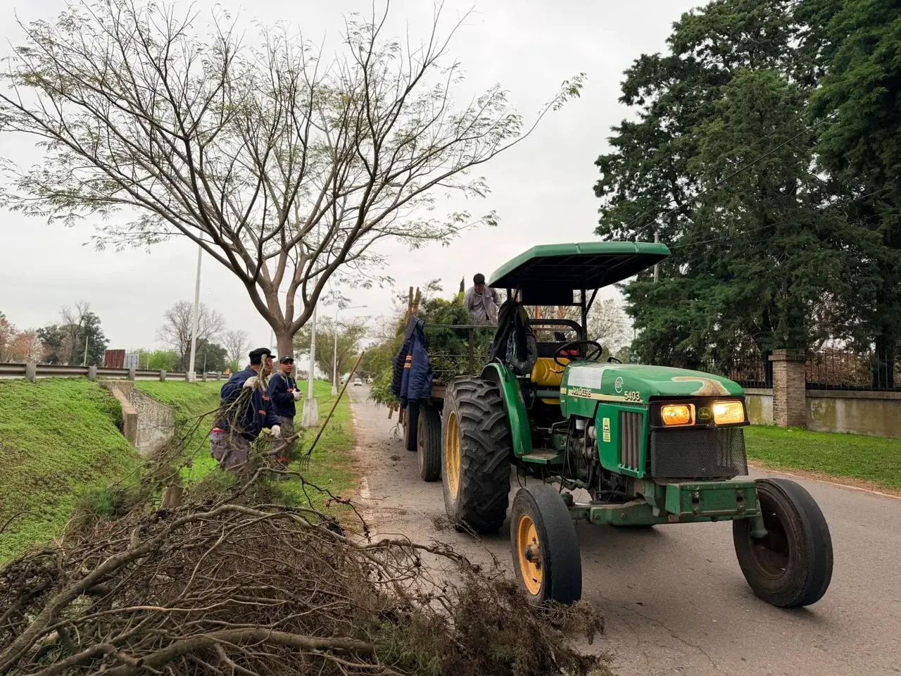 Esta semana continuará la poda urbana y el desmalezado en barrio Álamos del Aero Club