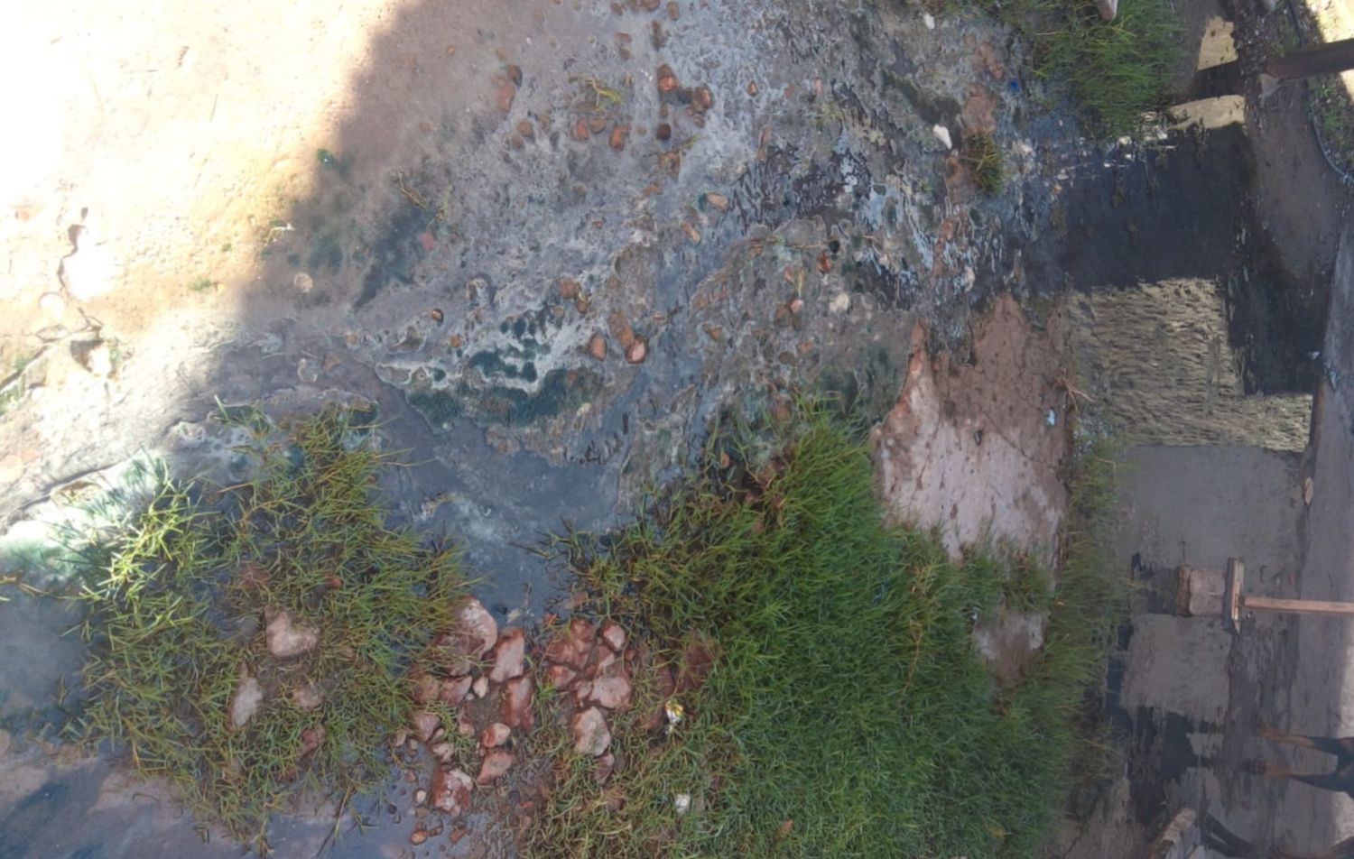 Cloacas rebalsadas en Ruffa 700