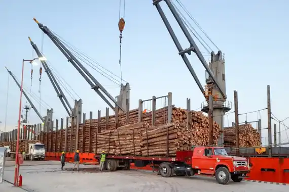 Los puertos entrerrianos fortalecen el comercio exterior