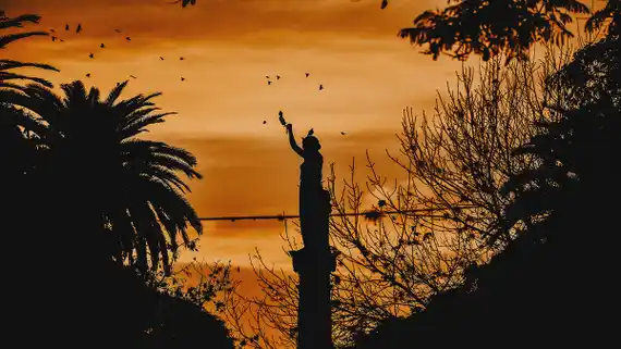 Importante descenso de nuevos casos