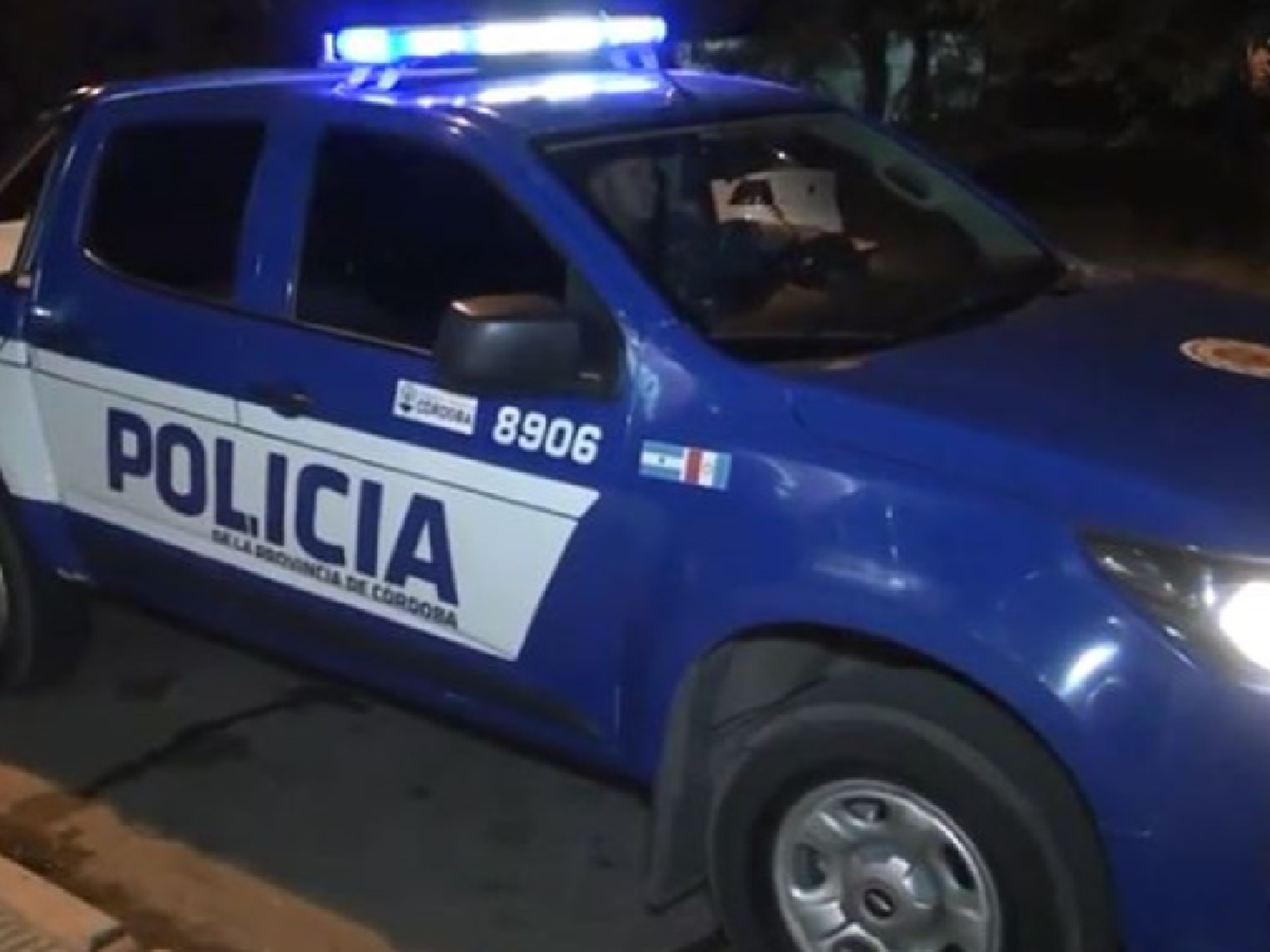 Robó un celular, huyó y la detuvieron  