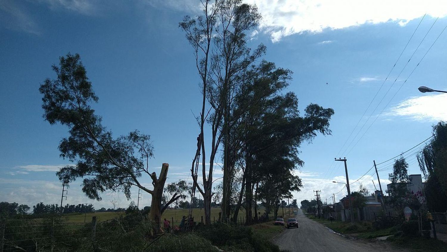 Realizaba un trabajo de poda, derribó parte de un árbol y dejó sin servicio eléctrico a 2600 usuarios