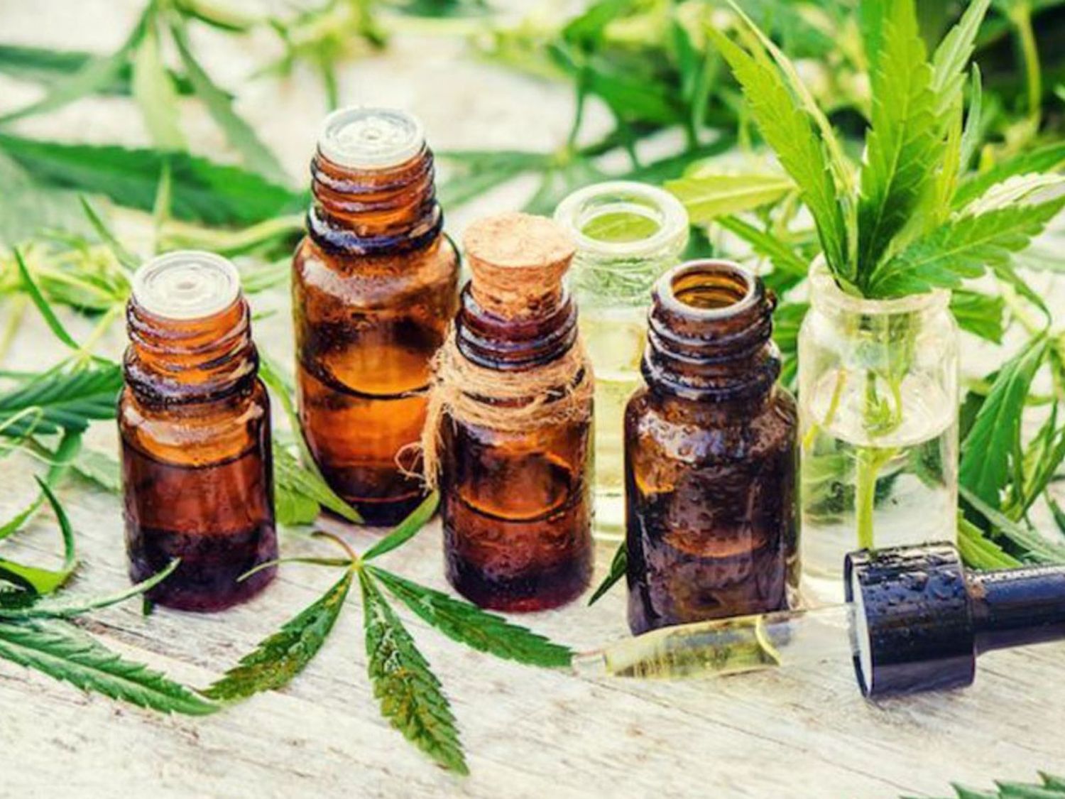 ¿Hay cambios en la política sobre cannabis medicinal?