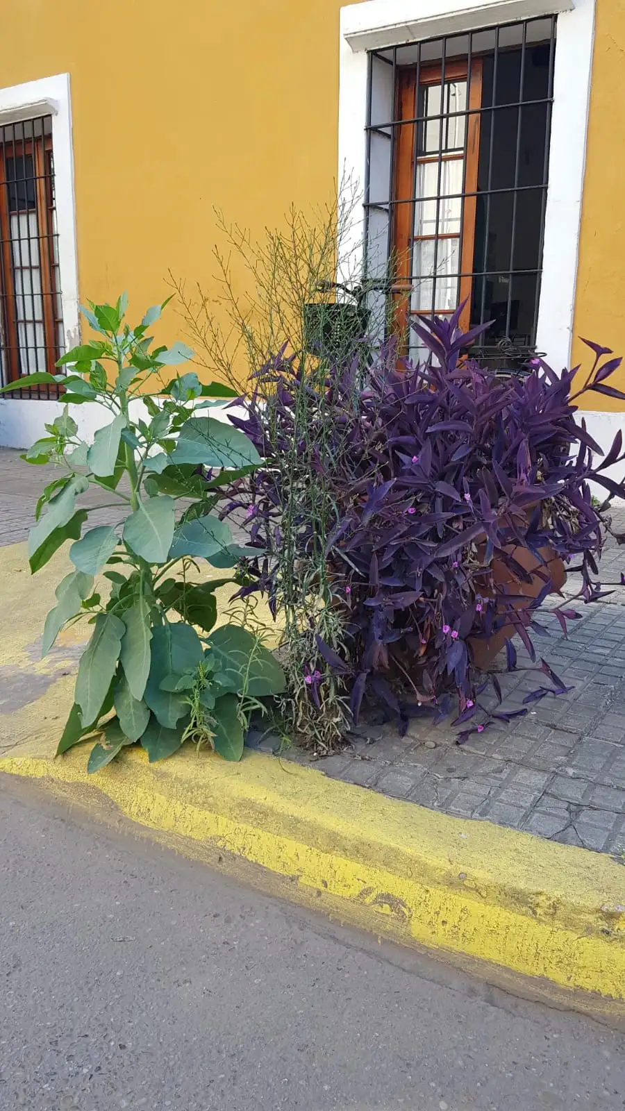 El ex palán palán de la Secretaría de Turismo. Foto: La Opinión