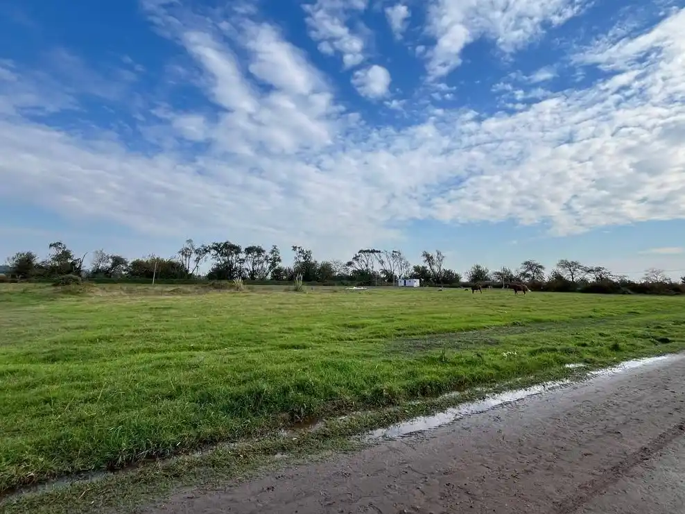 La administración comunal anunció la realización del plan de viviendas.