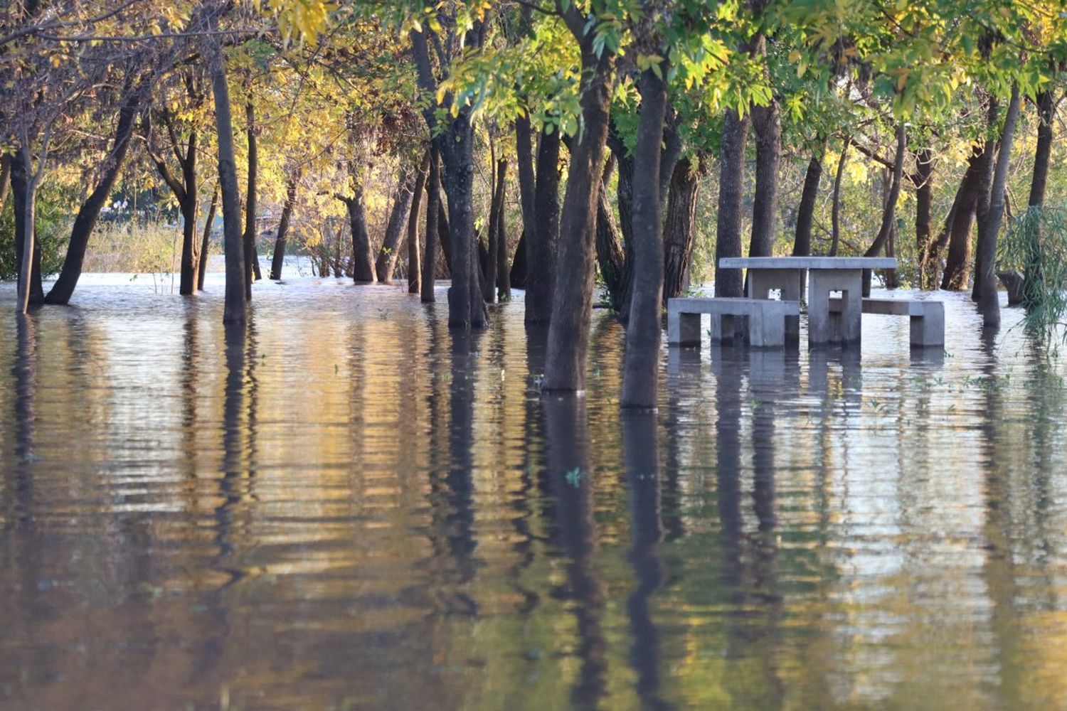 El río Gualeguaychú llegó a los 3,78 metros y el tránsito al Parque Unzué está restringido