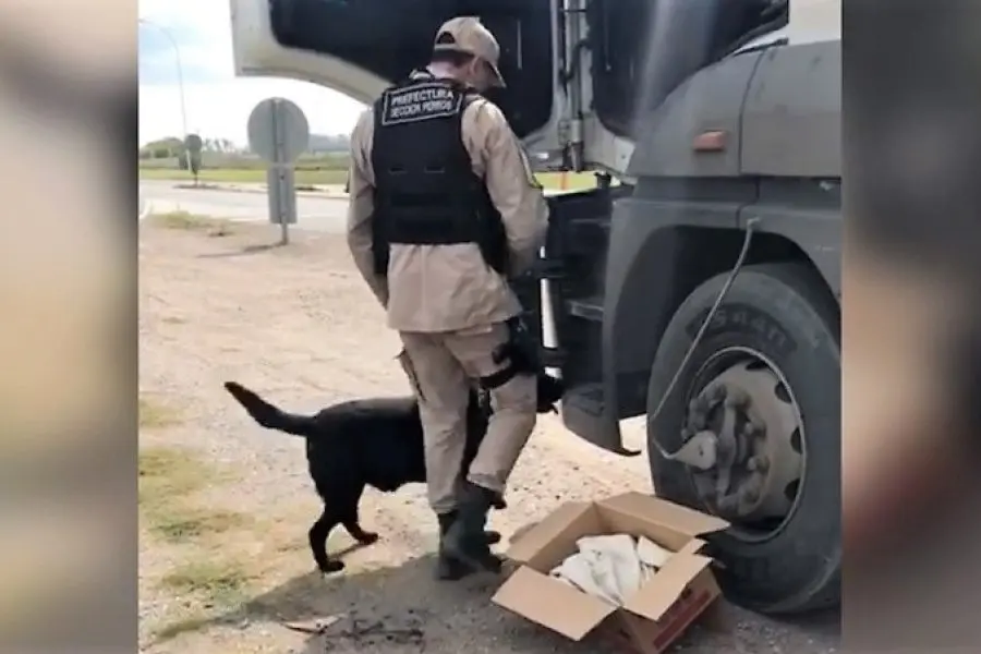 Ruta 34: detectan cocaína lista para su venta transportada en un camión