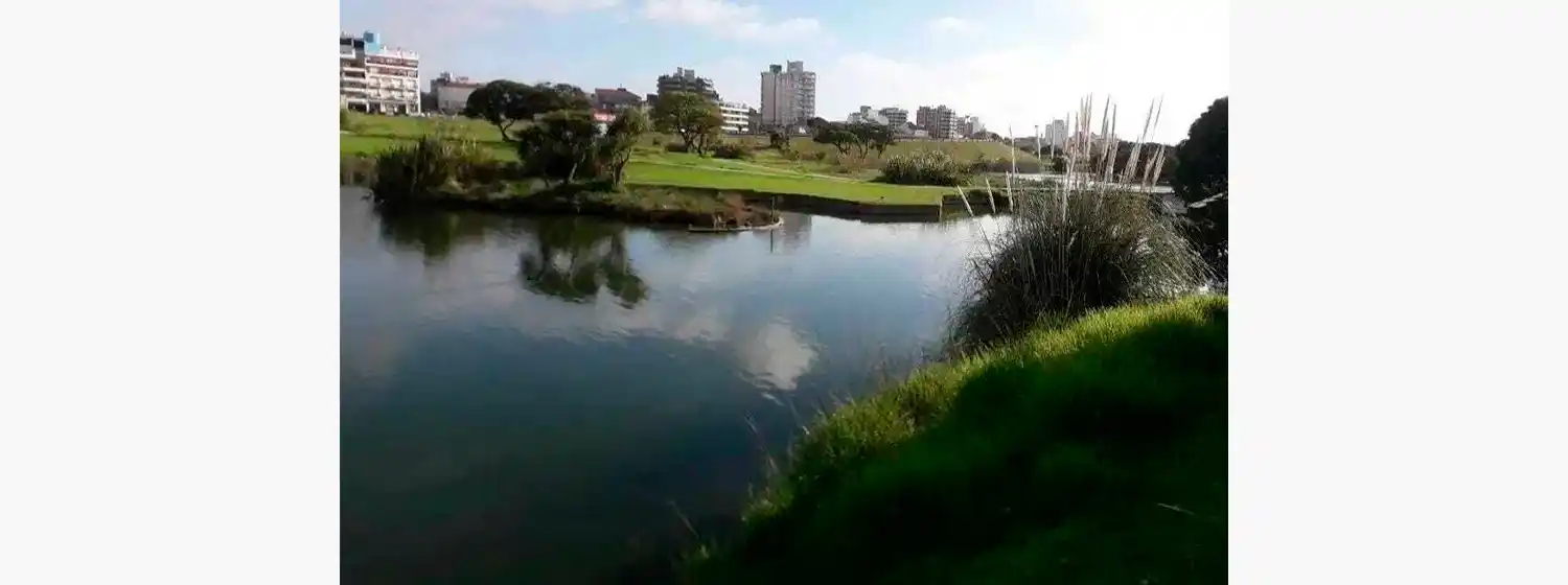 Nuevos llamados a licitación para la creación del Parque Ambiental en Punta Mogotes