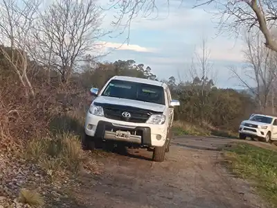 Cortaron un árbol para poder desencajar a una camioneta.