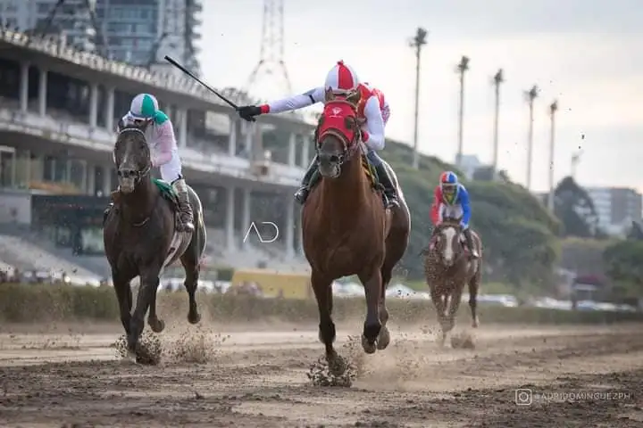 De esta forma definió Balsamic el Gran Premio Manuel Belgrano. Gran trabajo del jockey Wilson Moreyra y una presentación impecable del trainner local Ramón González. La barra agradecida porque superó al favorito.