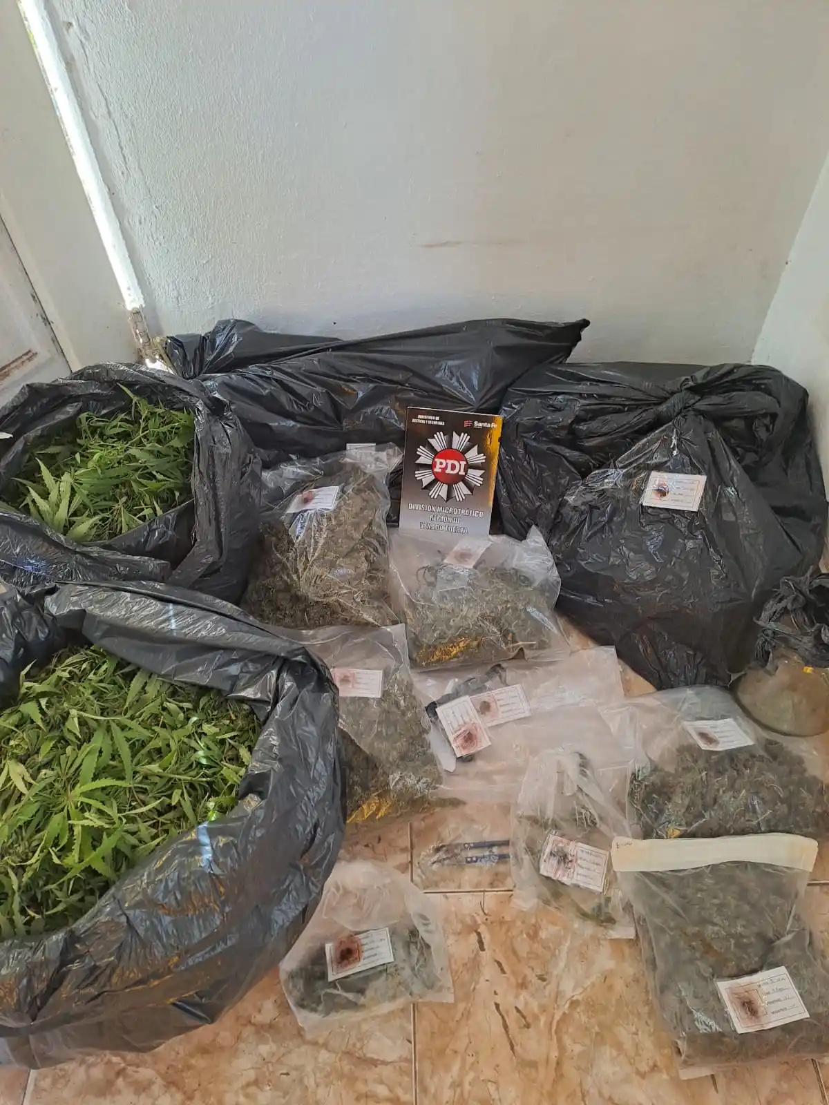 Plantas y flores de cannabis fueron incautadas.