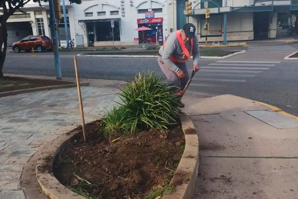 Realizan tareas de mantenimiento urbano en el centro de la ciudad