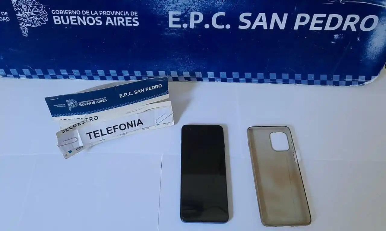 Detuvieron a un adolescente tras arrebatar un celular