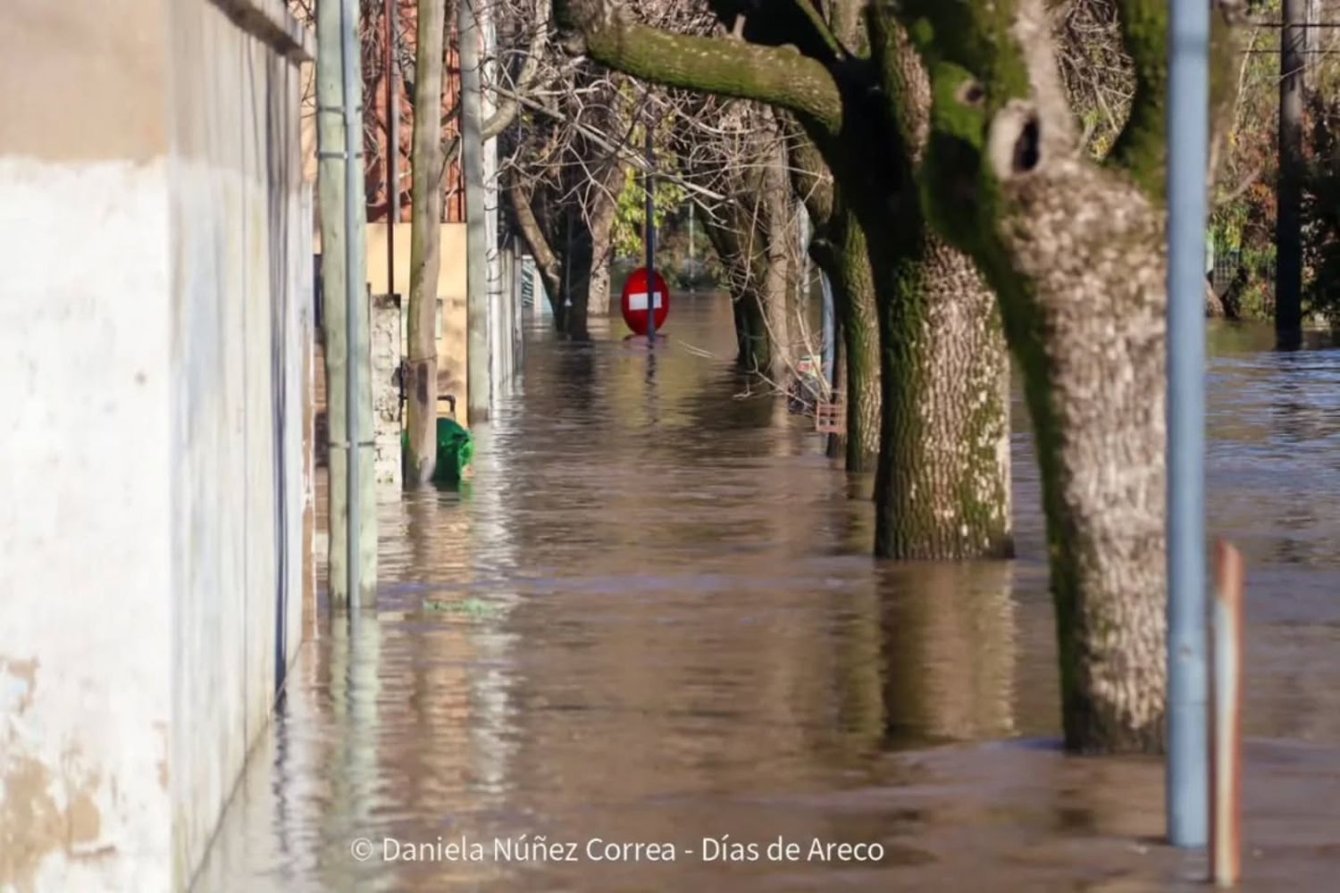 Foto: Días de Areco