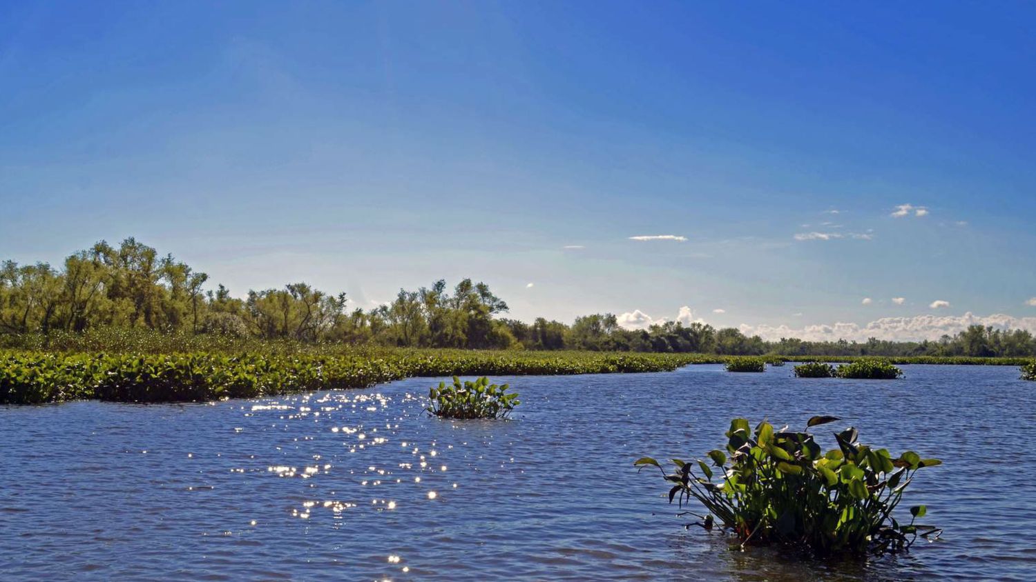 Hubo dictamen favorable para la ampliación del Parque Nacional Pre Delta