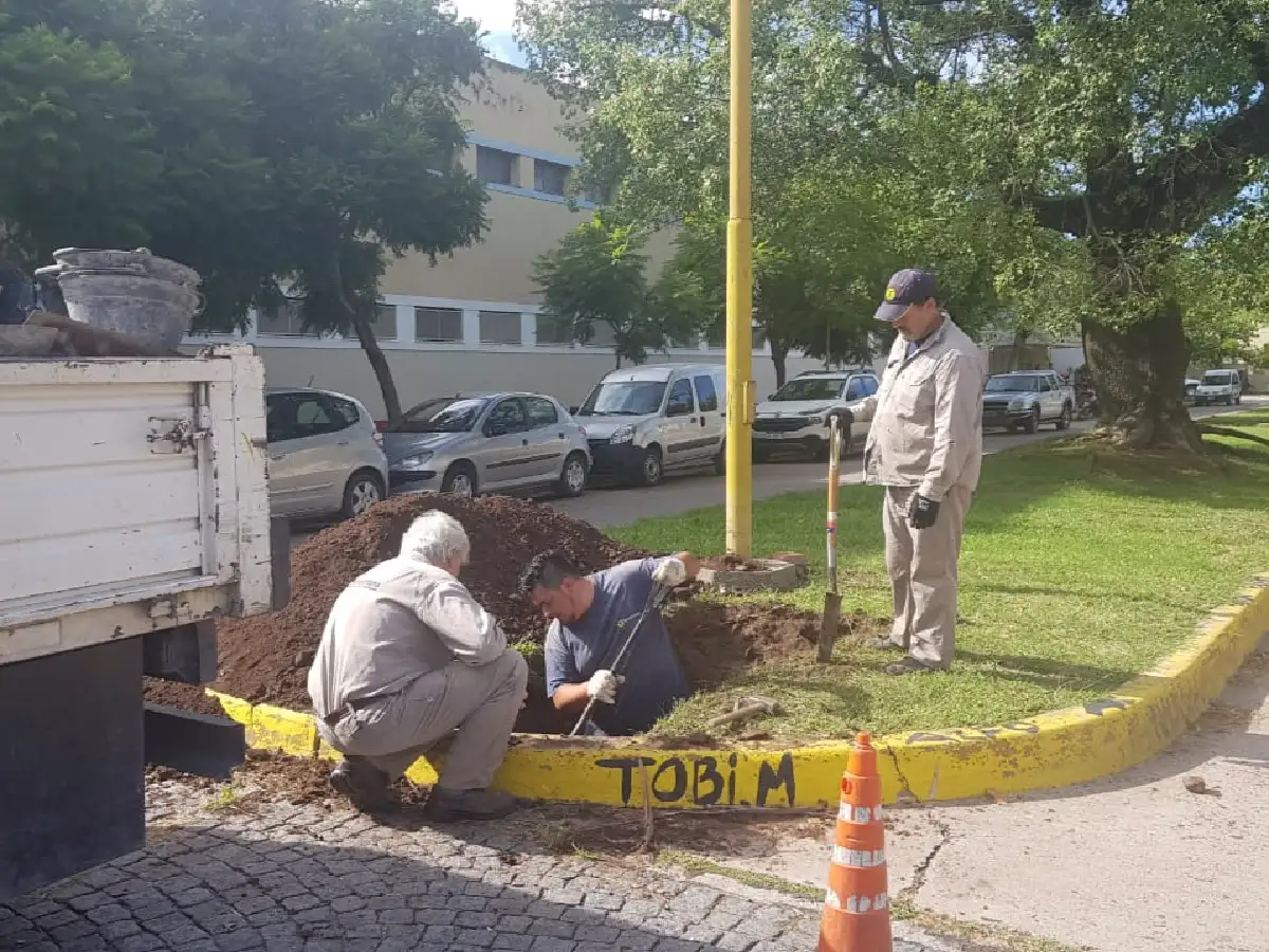 Comenzaron a trabajar en la colocación de un semáforo en barrio Catedral