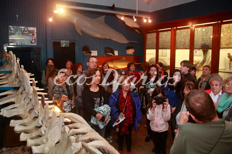 Expectativa superada en la “Noche de los Museos”