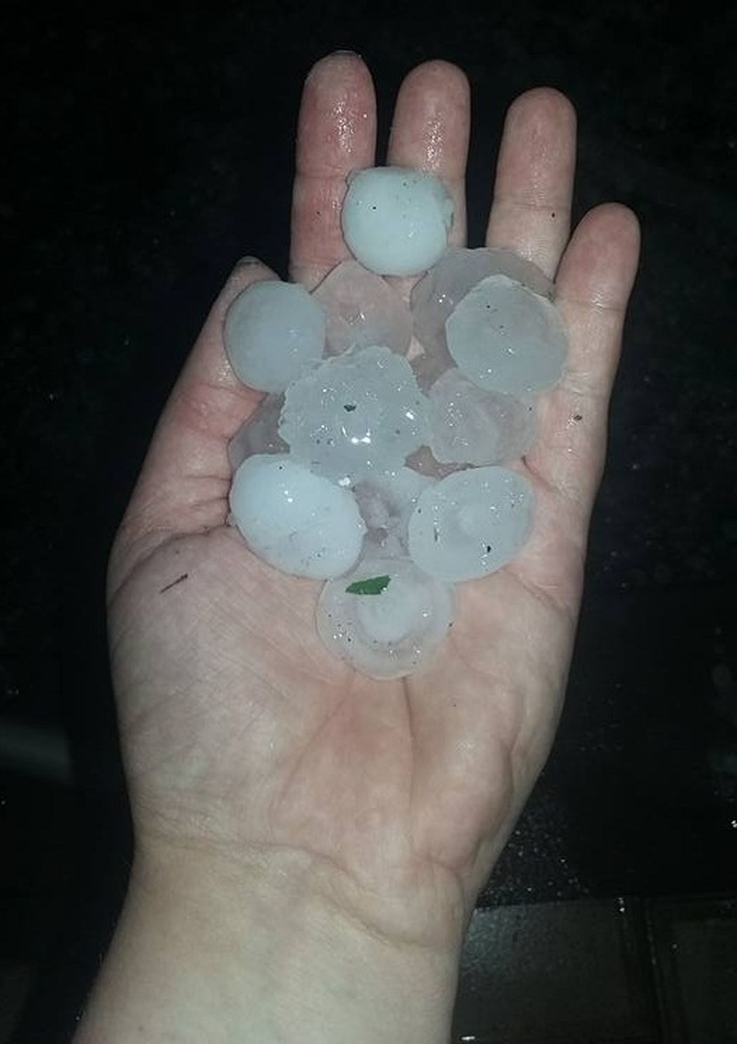 Viento, lluvia y granizo durante media hora dejaron secuelas en Aranguren