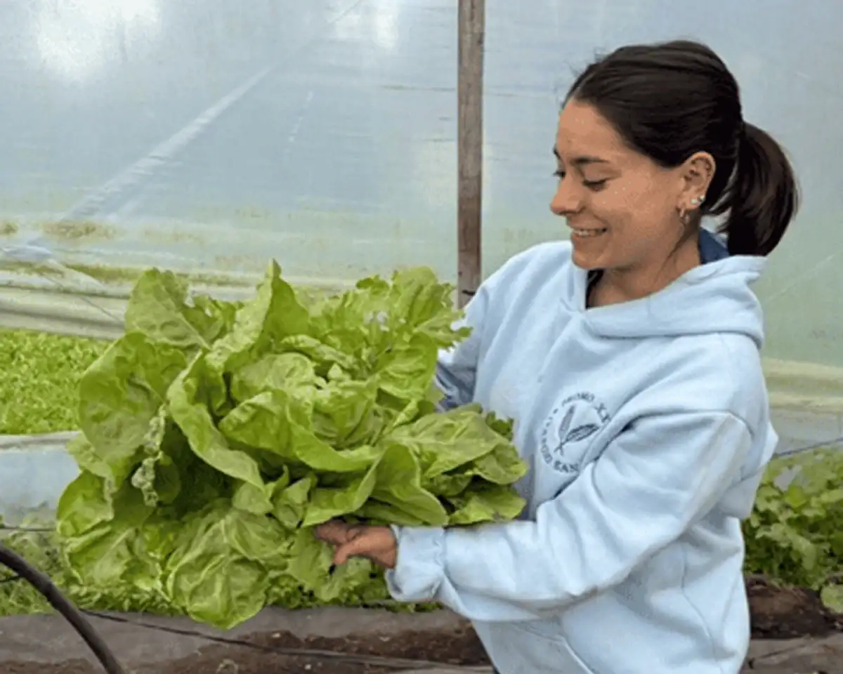 Microorganismos, lechuga y aprendizaje: una experiencia educativa que unió ciencia y producción