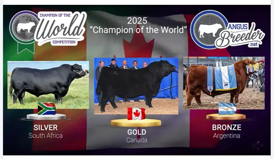 Quequén Sur tiene un “Padrino” de bronce