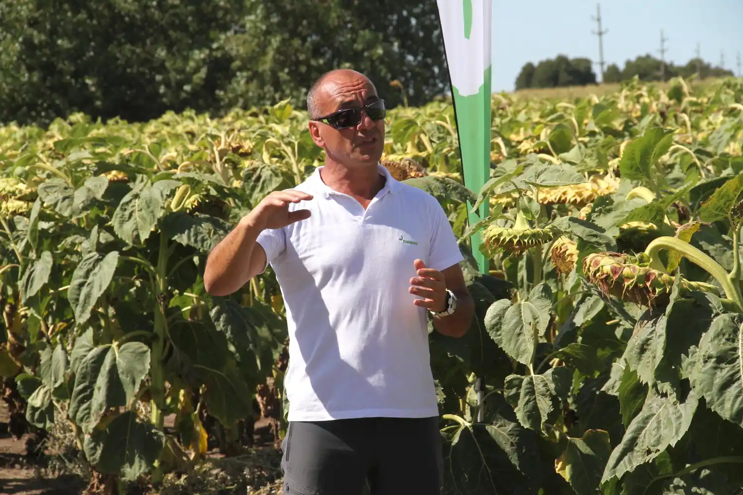 “Nuseed está entre las primeras tres marcas del mercado de girasol”