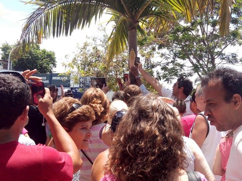 La imagen de la Virgen en una palmera conmueve a Federación