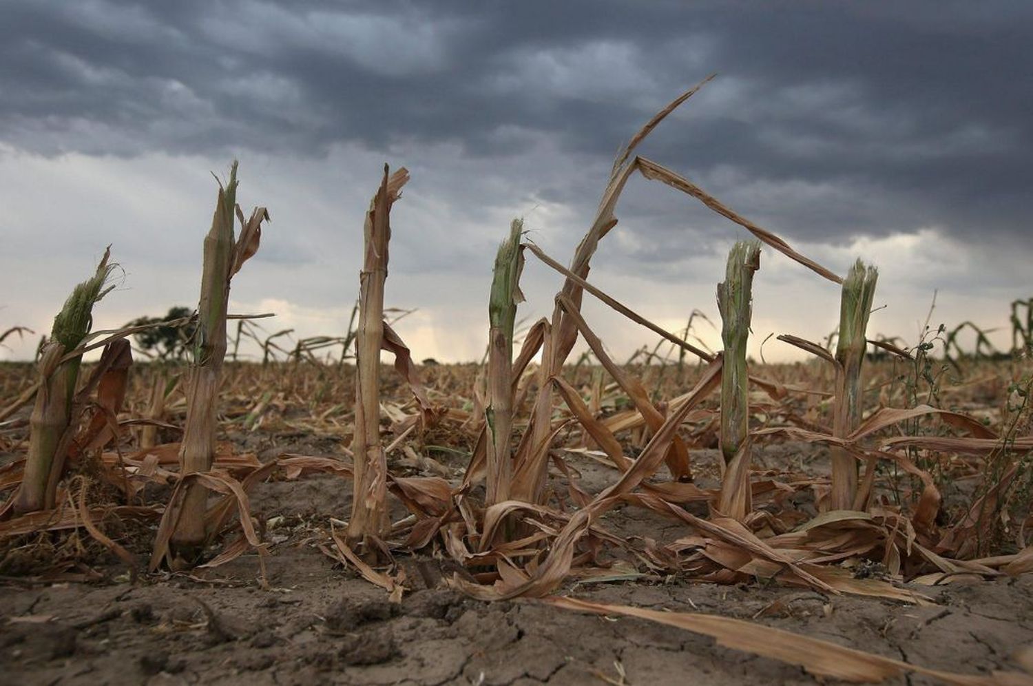 Prevén importantes lluvias para la próxima quincena: ¿”se despide” La Niña?