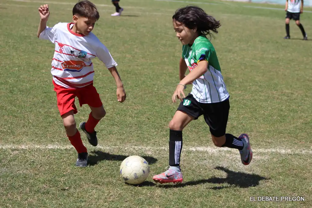 Gran expectativa por el torneo Entrerriano Preinfantil que se disputará el venidero domingo en cancha de Barrio Norte.