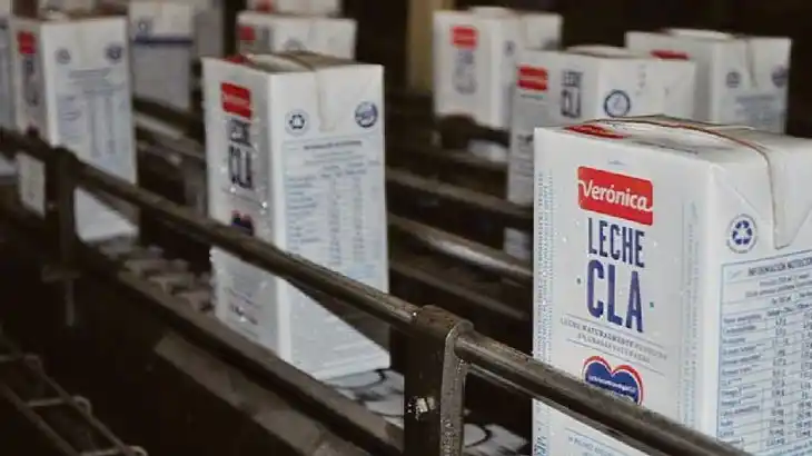 Láctea Verónica pidió ingresar a un plan preventivo de crisis