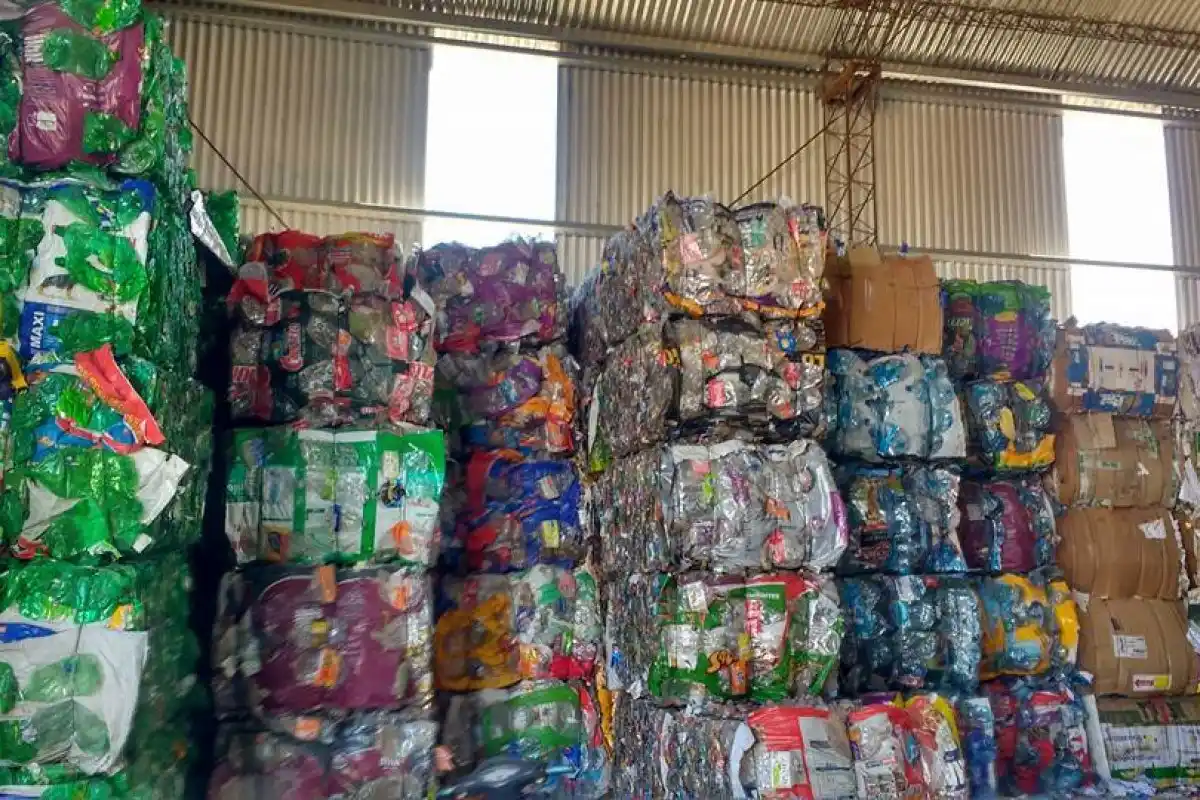 Una fundación creo un proyecto ambiental que generó más de 10 empleos verdes y que puede trasladarse a otras cuidades