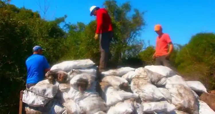 El sábado, elecciones en Uatre Río Tala