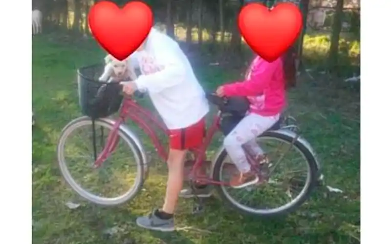 Robaron esta bici y la buscan