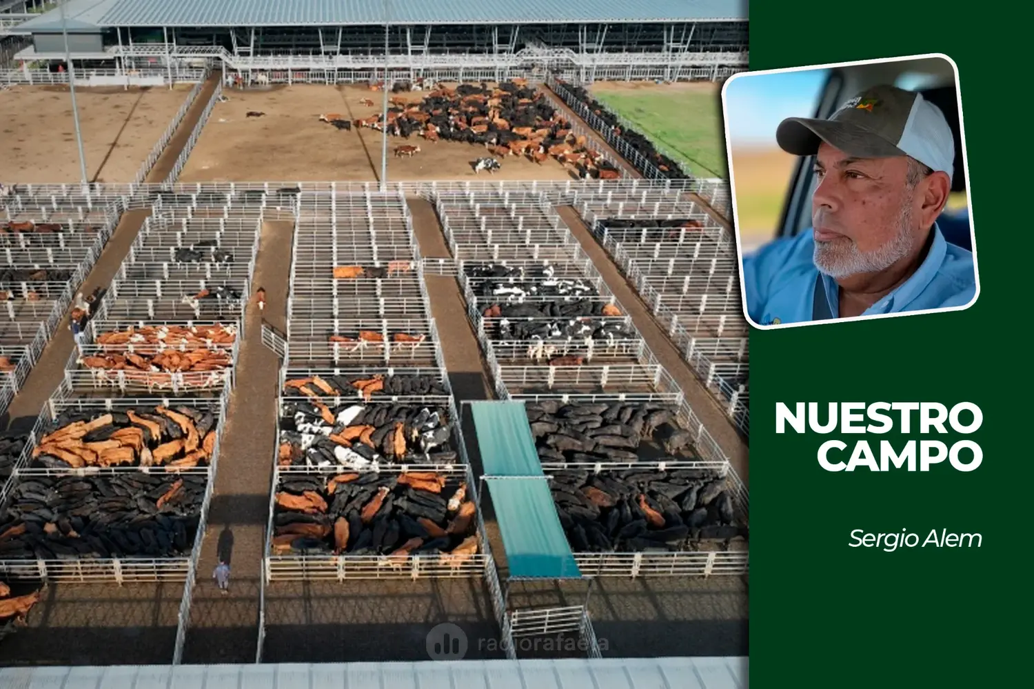 Cañuelas tuvo un ingreso reducido y la soja cotizó a 505.000 pesos en Rosario