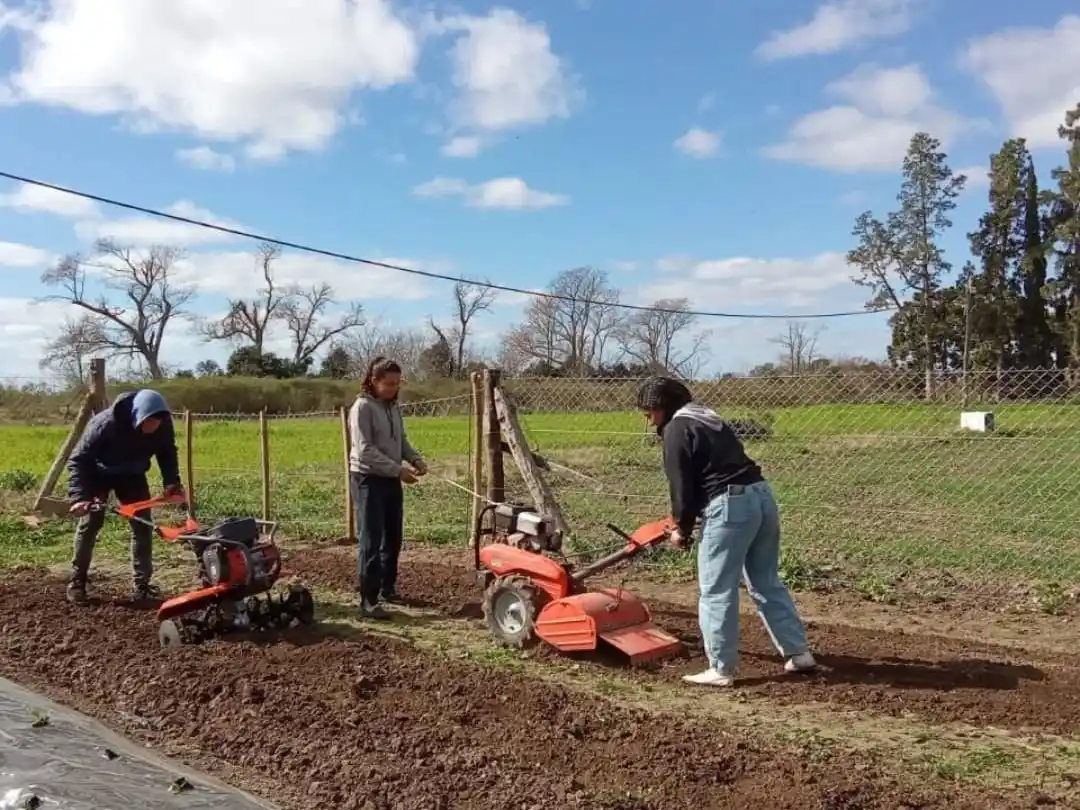 Escuela y comunidad: estudiantes inician prácticas que transforman la secundaria